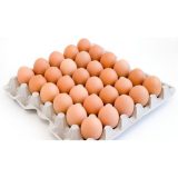 Tray of eggs