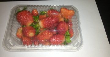 Fresh organic strawberries